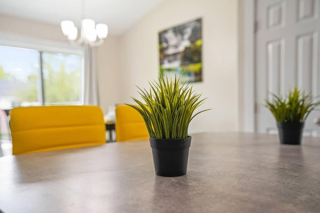 Remodeled, Charming Retreat On The City'S Doorstep Boise Bagian luar foto